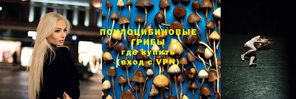 2c-b Алзамай